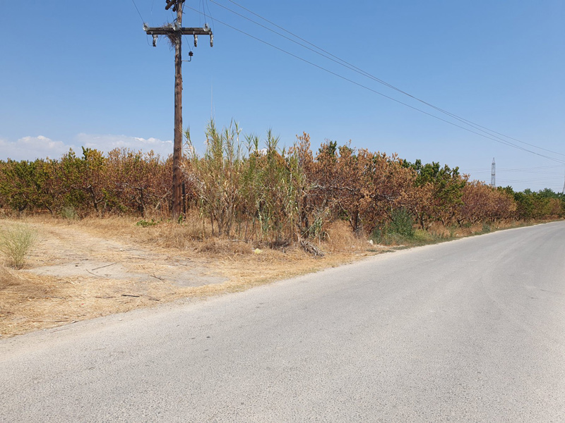 ΤΟΕΒ Μάτι Τυρνάβου: Η απόλυτη παρακμή με ξεραμένα περιβόλια, γεωτρήσεις διαλυμένες στον Αμπελώνα