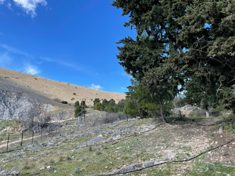 Γνωρίστε το Μαγευτικό Λουσφάκι στον Τύρναβο