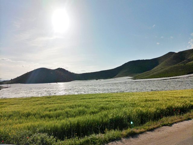 339430393 6071200796298465 3561082395714083771 n