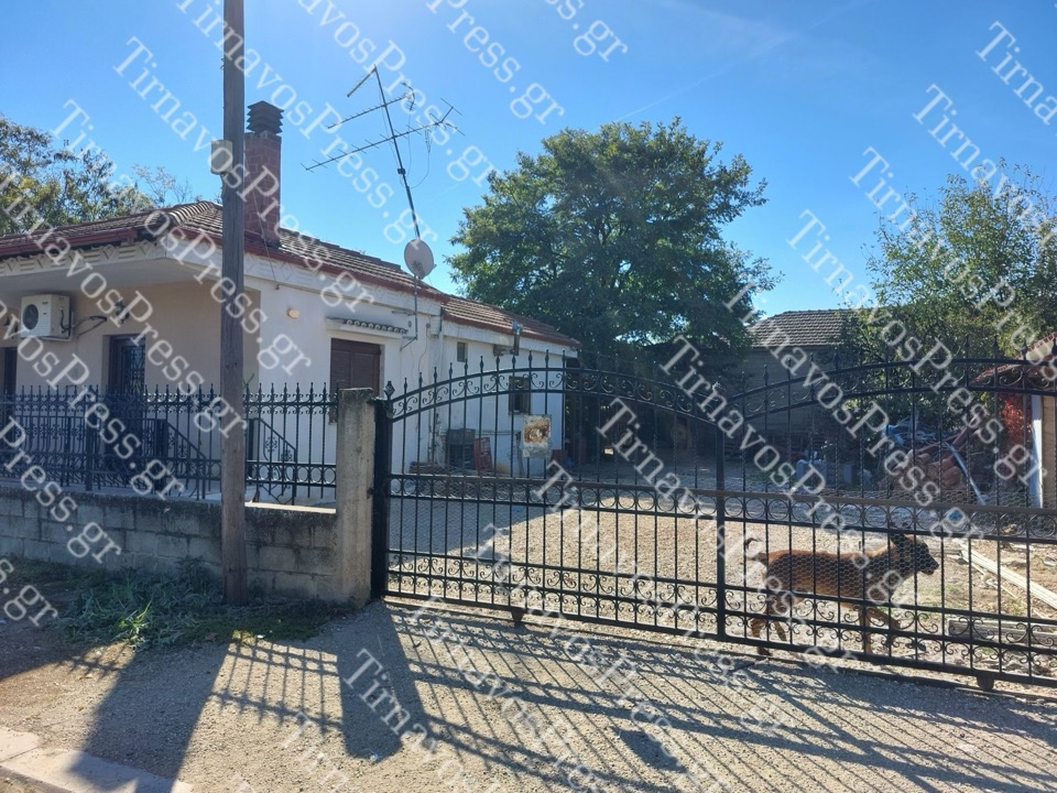 Πλατανούλια: Βίντεο και Φωτογραφίες από τα σκυλιά στο σπίτι - Η συγκλονιστικές μαρτυρίες των ανθρώπων που βρήκαν το πτώμα της γυναίκας