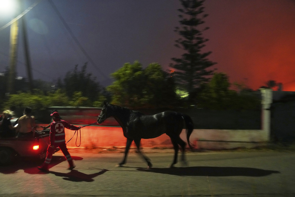 Φωτιά – Εικόνες αντί για χίλιες λέξεις: Καμιά ζωή δεν περισσεύει – Στιγμιότυπα από διασώσεις ζώων