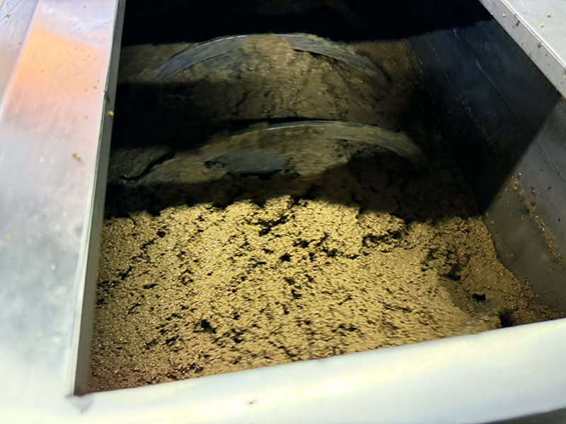 Από το Μάζεμα της Κορωνέικης Ελιάς ως το Ελαιοτριβείο: Το Ταξίδι του υγρού πράσινου θησαυρού