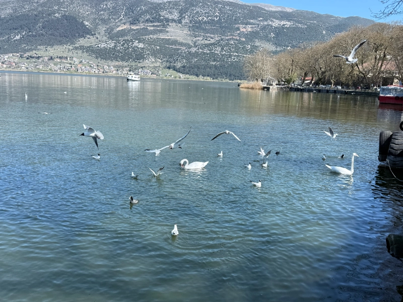 Μικρή περιήγηση στα Ιωάννινα και στο νησάκι της λίμνης, που βρίσκεται στη σκιά του Αλή Πασά