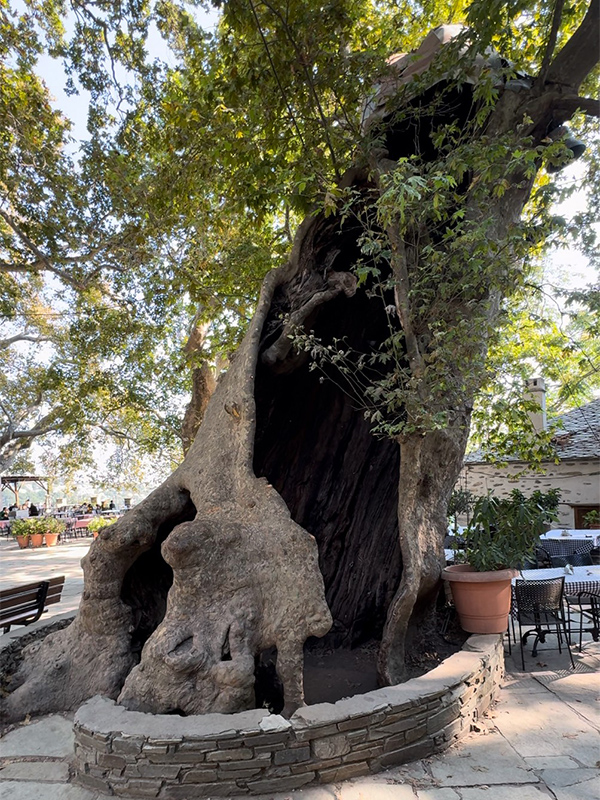 Μακρινίτσα: Ένας Παράδεισος Στις Πλαγιές Του Πηλίου