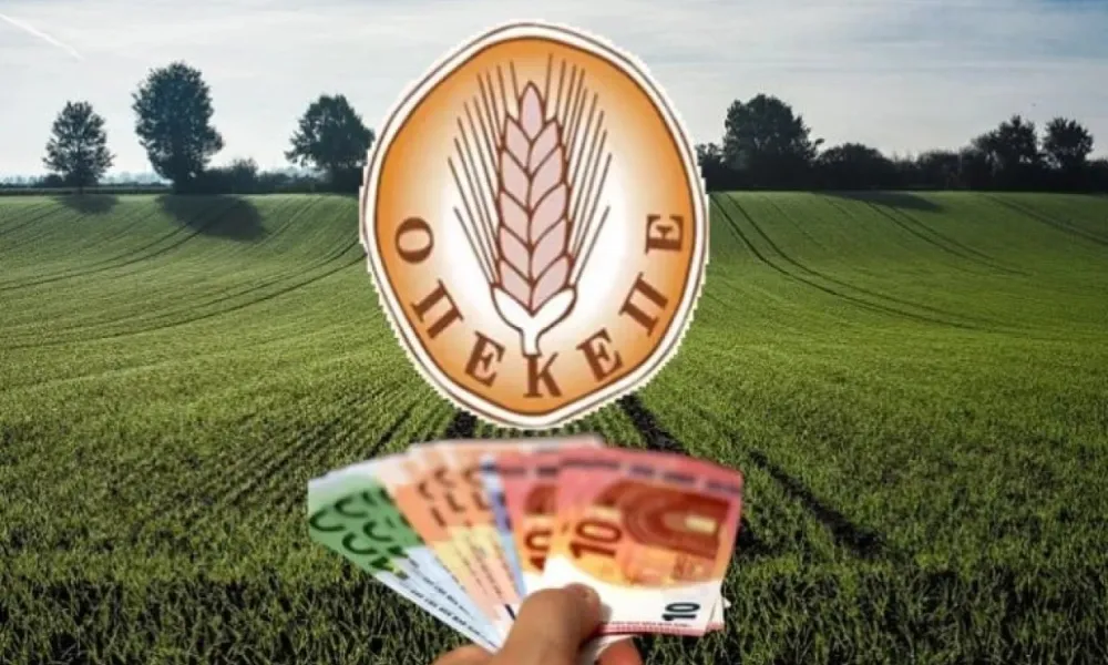 Το πραγματικό πολιτικό έγκλημα στον κάμπο: Πώς η εγκατάλειψη του πρωτογενούς τομέα έφερε ξανά τα μπλόκα