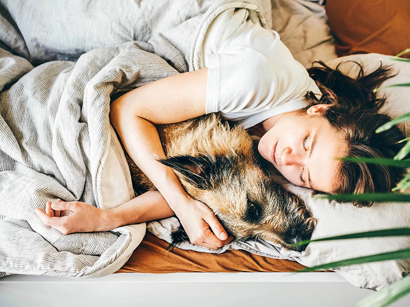 Είναι Σκύλος ΟΧΙ το Παιδί σου!