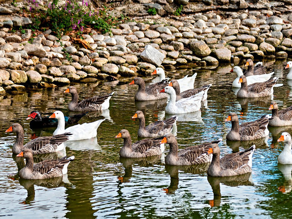 Βρύση Τυρνάβου ο αγαπημένος χώρος αναψυχής των Τυρναβιτών και όχι μόνο!