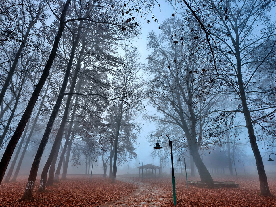 Βρύση Τυρνάβου ο αγαπημένος χώρος αναψυχής των Τυρναβιτών και όχι μόνο!